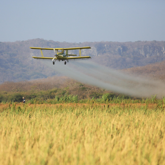 EU Bans Pesticides at Home, Exports Them to the Global South