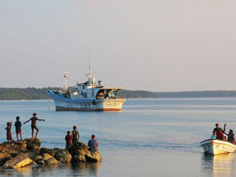 What We Need to Learn from "Ocean" by David Attenborough