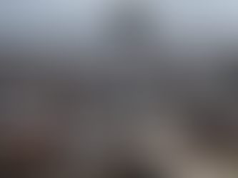 Crisis Within a Crisis: Environmental Degradation in the Rohingya Refugee Settlement in Bangladesh