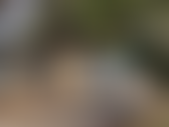 UN peacekeeper killed in Southern Lebanon raises concern over the safety of personnel amid escalating conflict