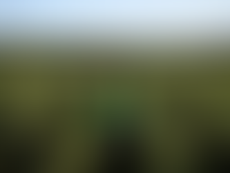 Behind the Bubbles: Forced Labor in Europe’s Champagne Industry