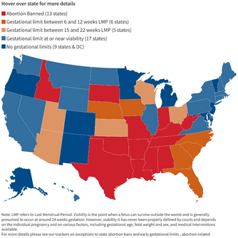 U.S. Elections and the Right to Reproductive Healthcare