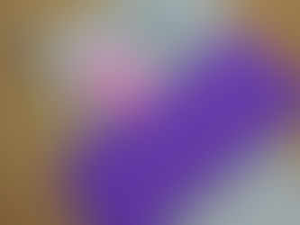 新しいスタート