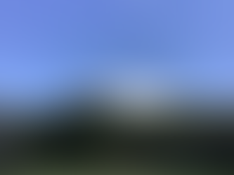 森林セラピー体験