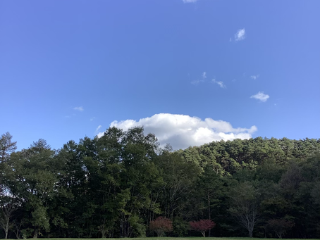 森林セラピー体験