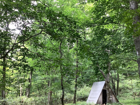 ご依頼イベントのお知らせ