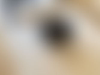 アッと言う間に