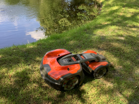 ちっこくて、かわいくて、働き者‼️