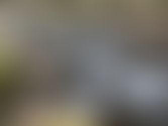 帰って来ました‼️