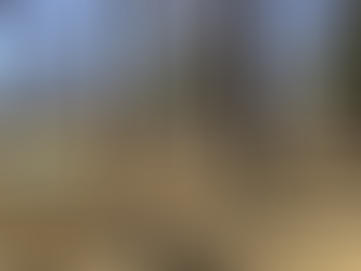 パワーチャージ