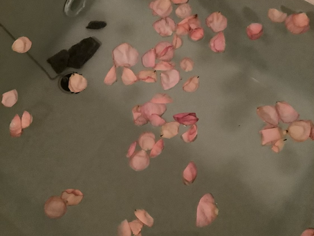 旧暦 端午の節句