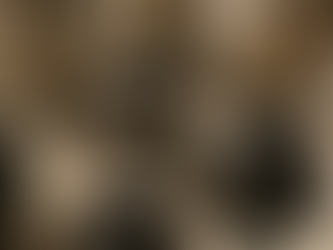 ゆ座コンサート