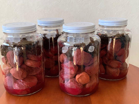 梅仕事終了❣️