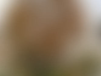 森林セラピスト&ヨガ講師の野山遊び 桂イベント