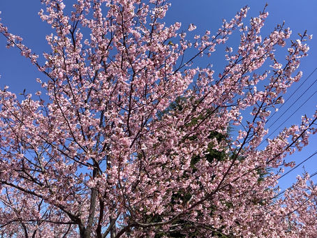 イベントのお知らせ