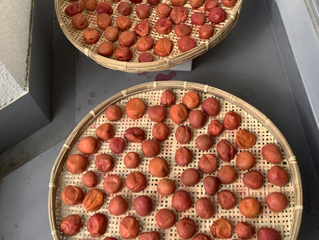 晴れました〜🤗