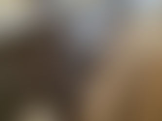 プラス10インチ