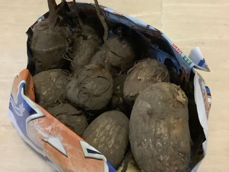 さかがみ農園さん