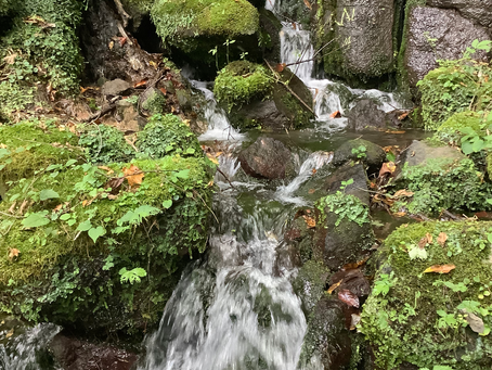打ち合わせ&下見