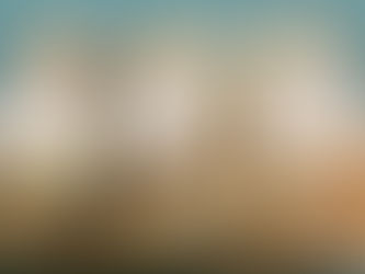 届きました〜❣️