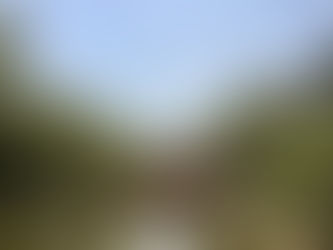 パワーチャージ❣️