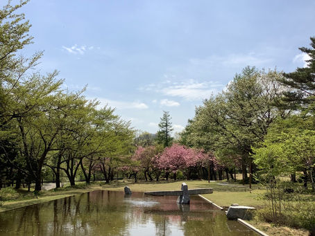 パワーチャージ❣️