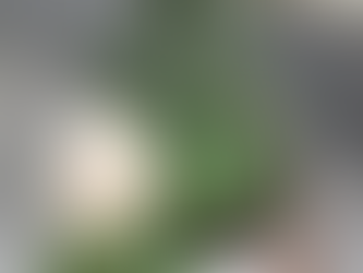 フォーエバーローズ