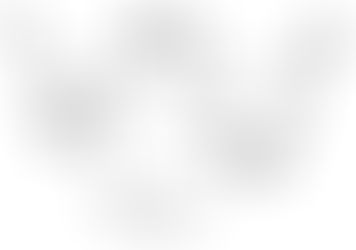 Turbulence of dilute polymer solutions