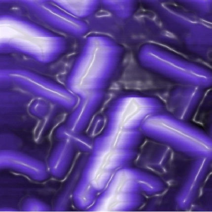 fig_4.jpg
