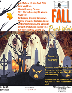 CNC Pack WalkFlyer2.png