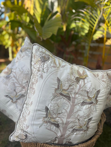 WhatsApp Image 2025-08-02 at 9.12.23 PM.jpeg