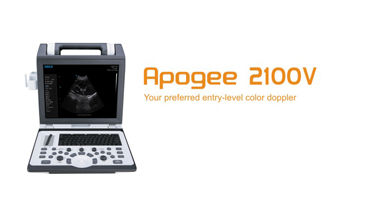 201702240915411541 v