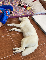 23 starting from scratch again excited.jpeg