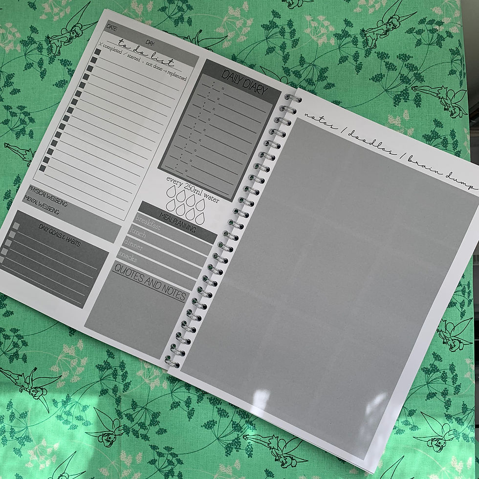 Thumbnail: B GRADE 90 Day Journal - In Control and On A Roll