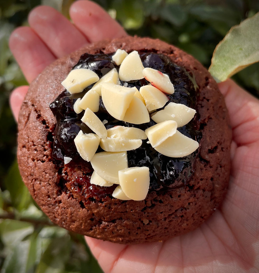 Miniature : Boite découverte