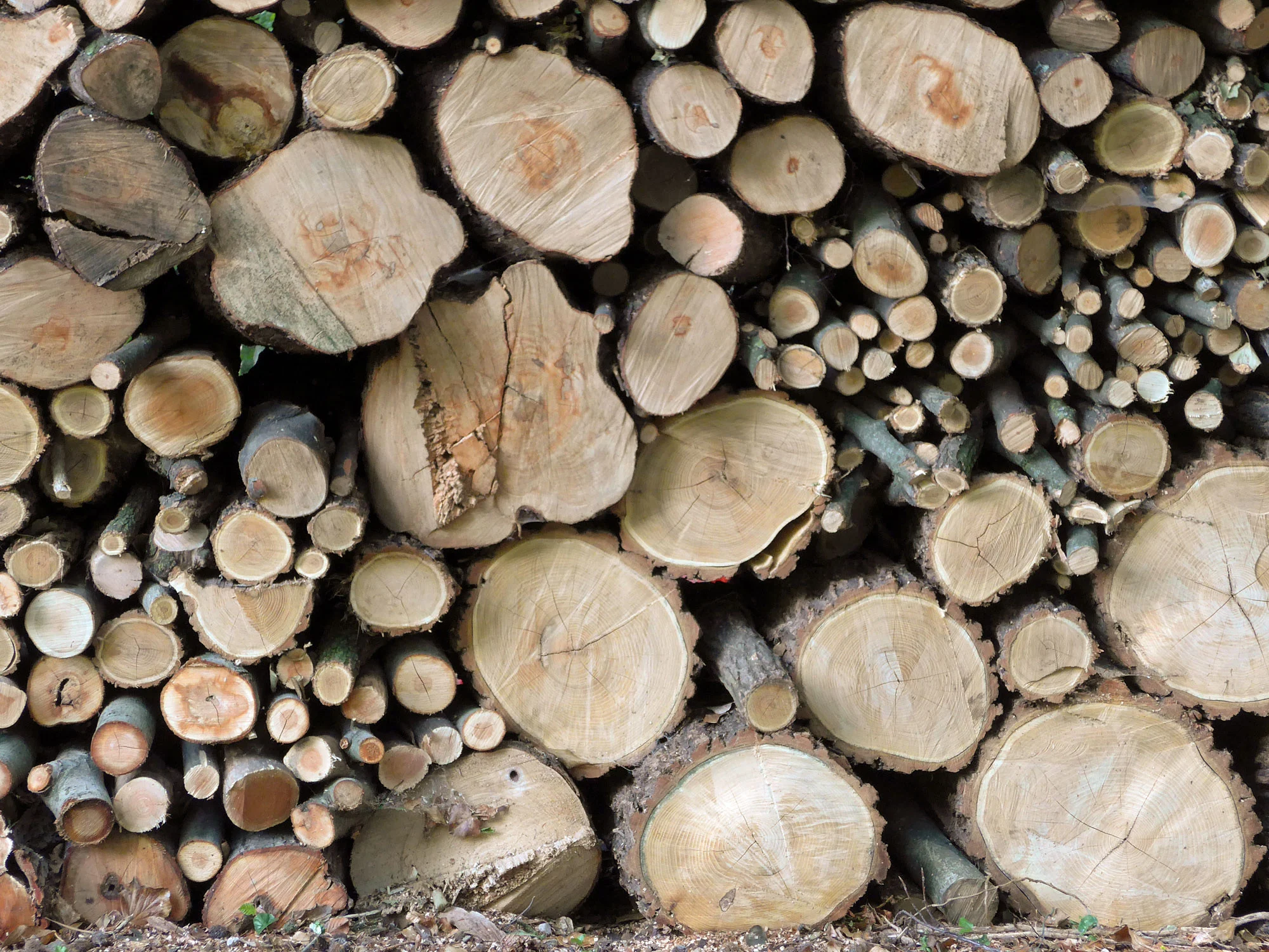 Holz_Hintergrund.webp