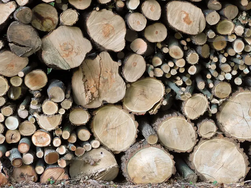 Holz_Hintergrund.webp