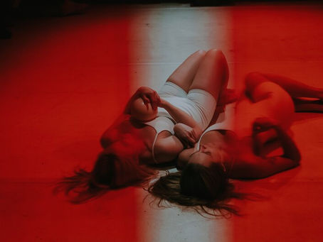 Cygnets, at Theatre Work's Explosives Factory - 60 minutes