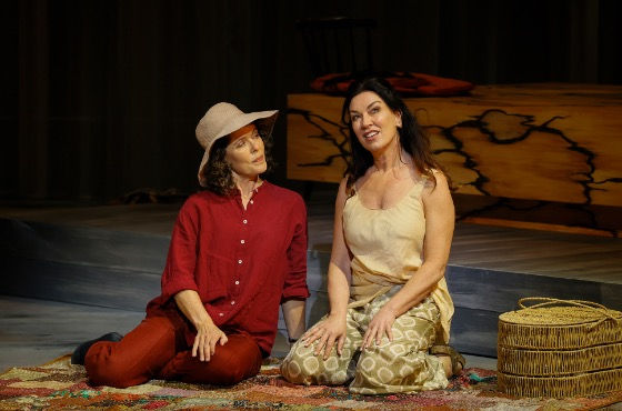 The Spare Room (Victorian Opera), at The Playhouse, Arts Centre Melbourne