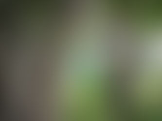 The Biggest Little Farm (PG) - 91 minutes