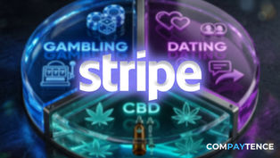 STRIPE AND THE HIGH-RISK SHAKE-UP
