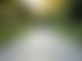 Funktionelle og æstetiske løsninger med haveplanlægning Ringsted