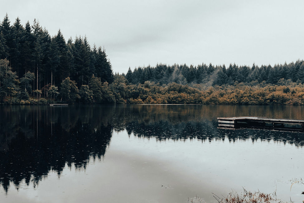 guillaume-de-germain-qVYuh3op-s4-unsplash.jpg