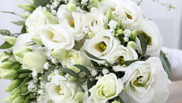  ramos de novia naturales clásicos con flores blancas y follaje verde