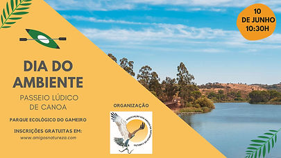 Dia Mundial do Ambiente 2023