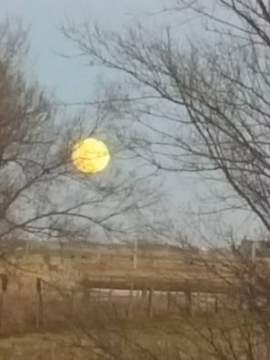 The Anti-Hype Full Moon Report