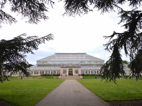 The Royal Botanic Gardens, Kew - Reopening Temperate House