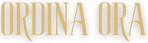 brand verteramo esportati (6)_edited.png