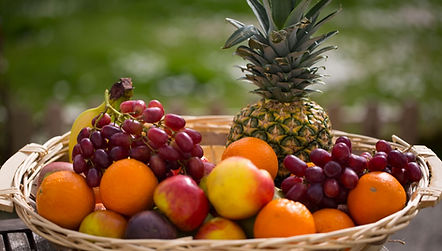 harvest fruit.jpg