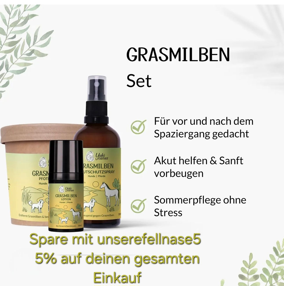 Grasmilben beim Hund – Warum sie so starken Juckreiz verursachen und wie wir mit Yuki Cares endlich Ruhe in die Grasmilben-Saison gebracht haben